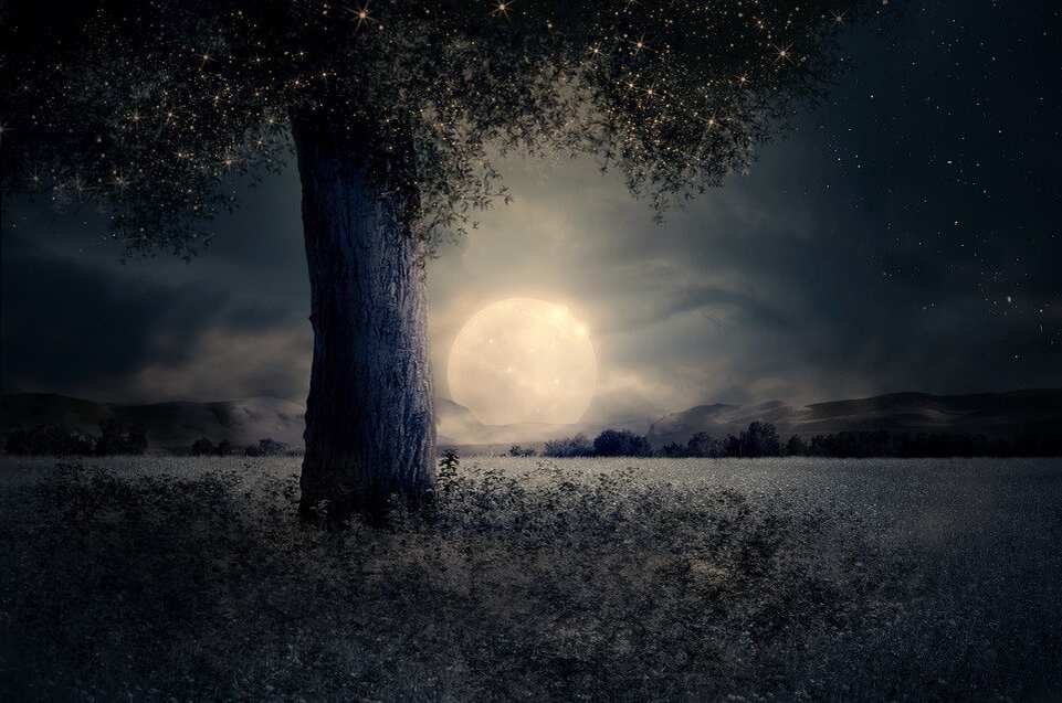 pixabay.com/