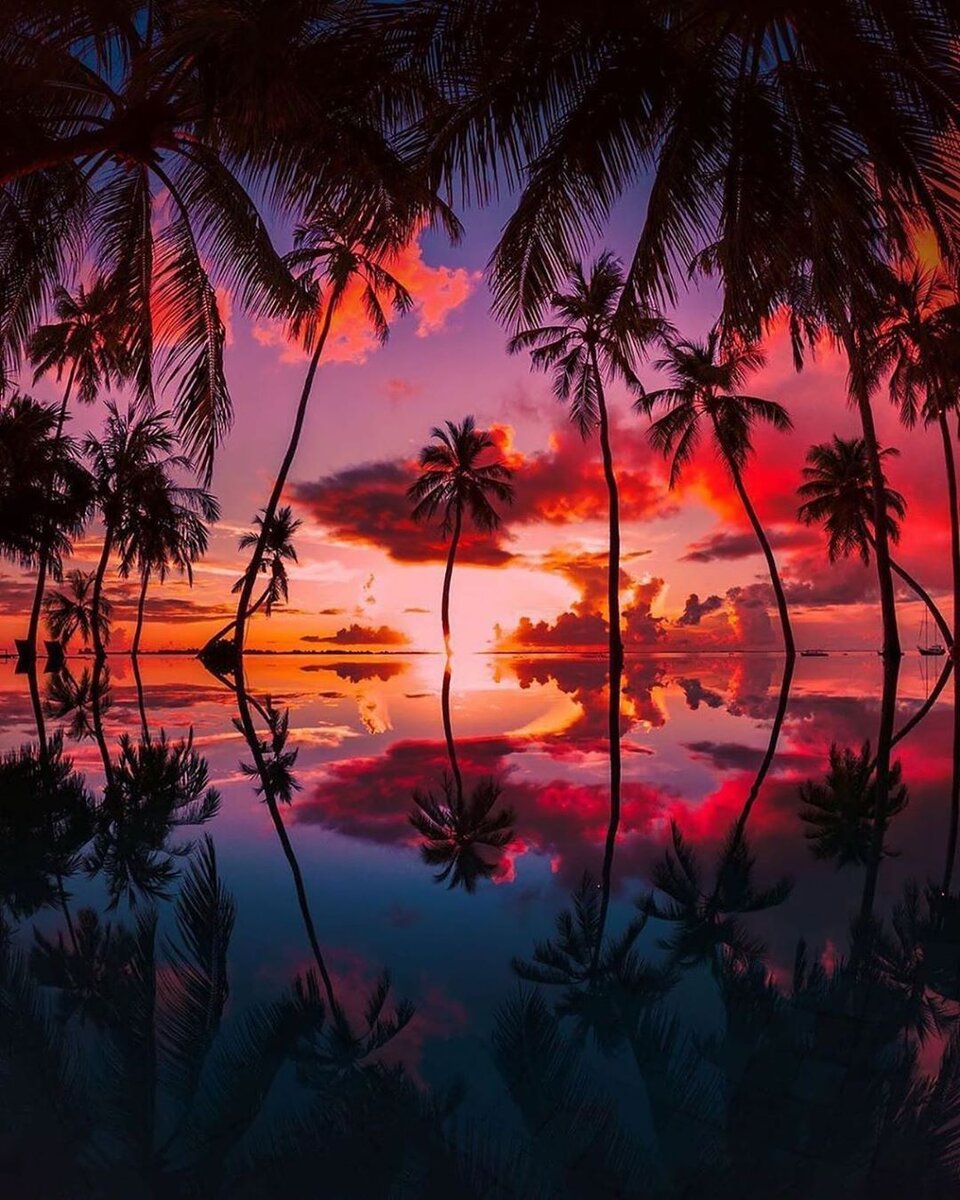 Атолл Адду — один из самых крупных на Мальдивских островах. Он простирается на 14 км с востока на запад и на 11 км - с севера на юг и является самым южным атоллом Мальдивского архипелага.
Общая площадь атолла - 15,7 км². Атолл включает в себя семь основных островов, расположенных вокруг лагуны полукругом. Другое название атолла - Сеену.