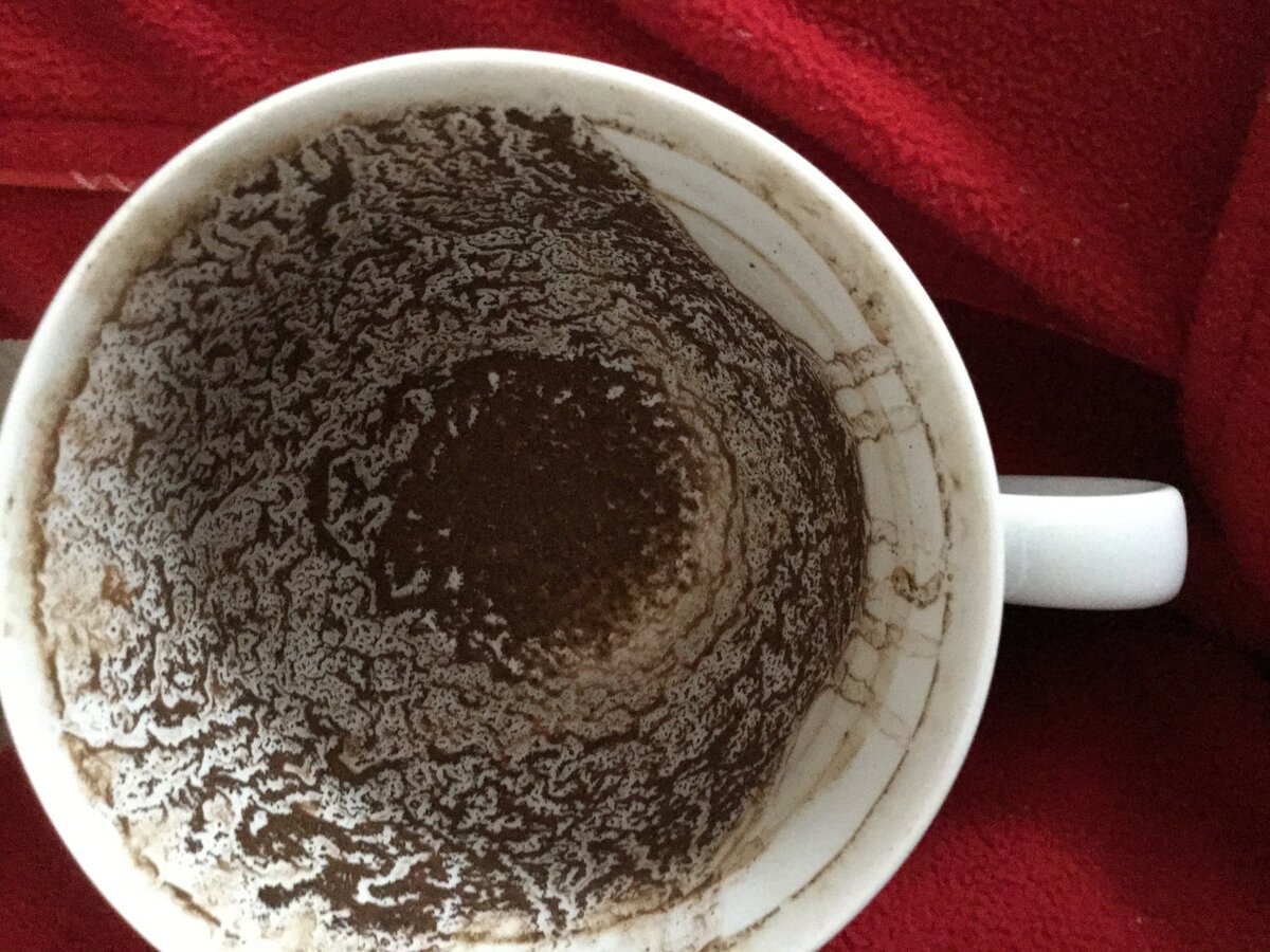 Фото: Яндекс