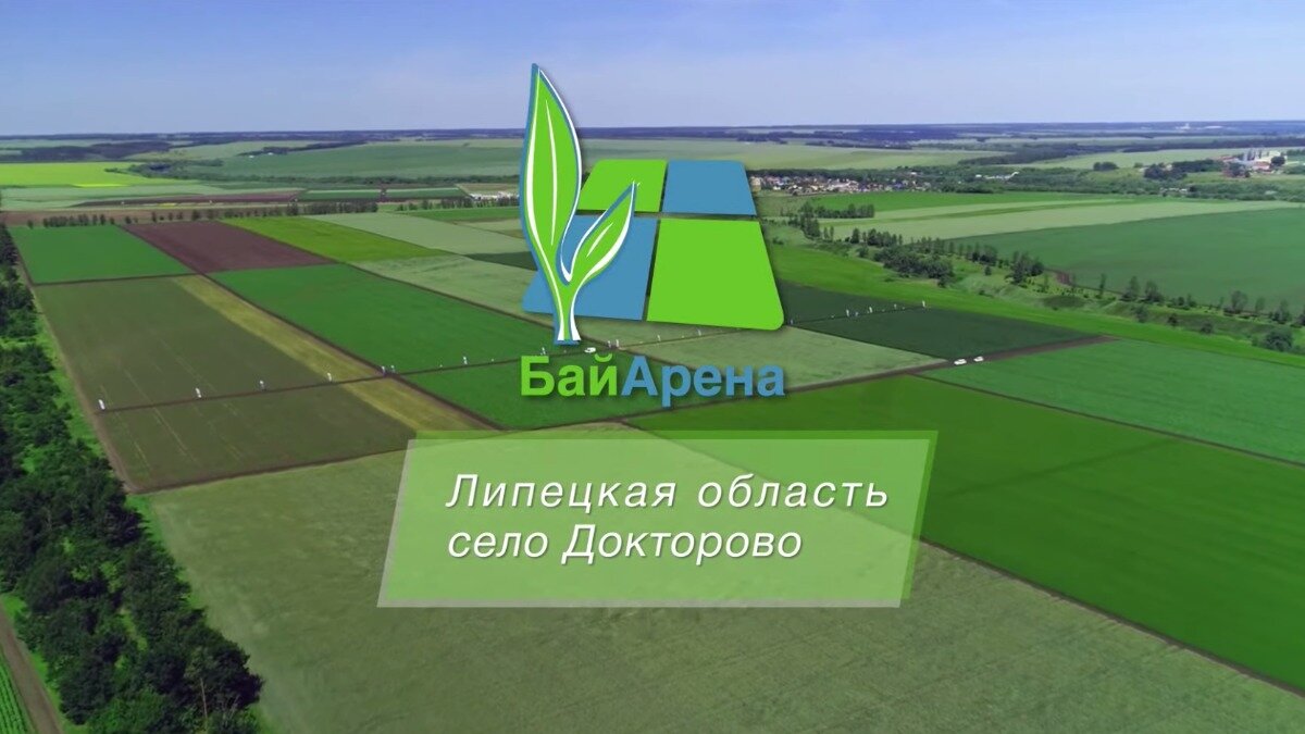 Фото: cropscience.bayer.ru