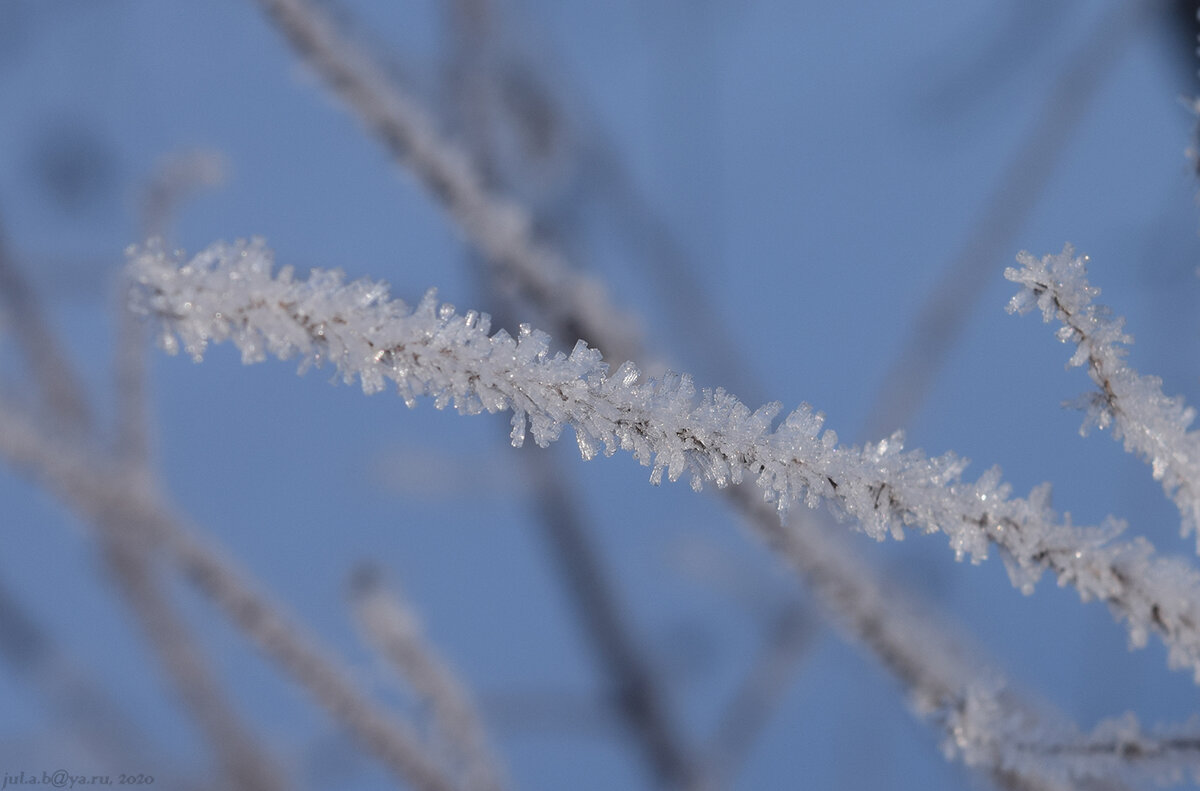Фото на D3300