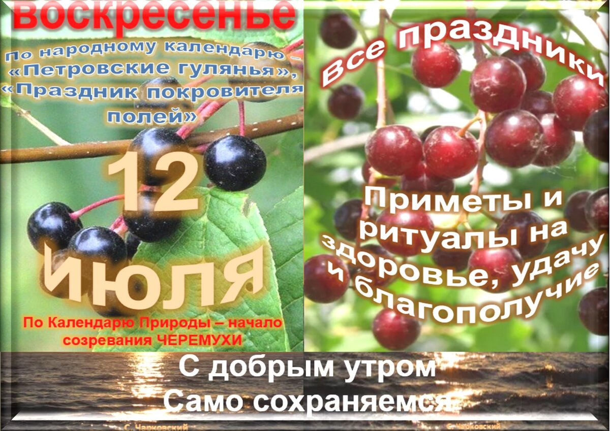 28 июля приметы