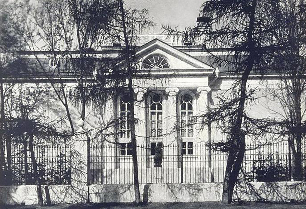 Вилла "Черный лебедь"