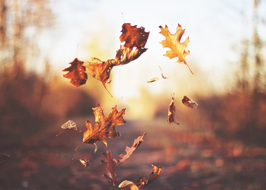 Картинка из интернета