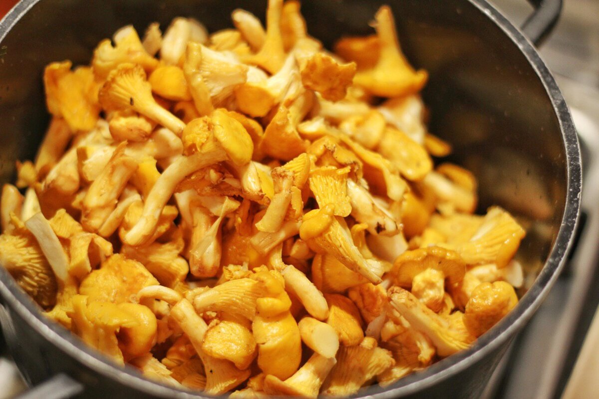 Жаренная картошка с лисичками. Ням-ням!