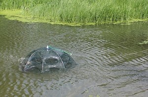Верша-паук усовершенствованная!