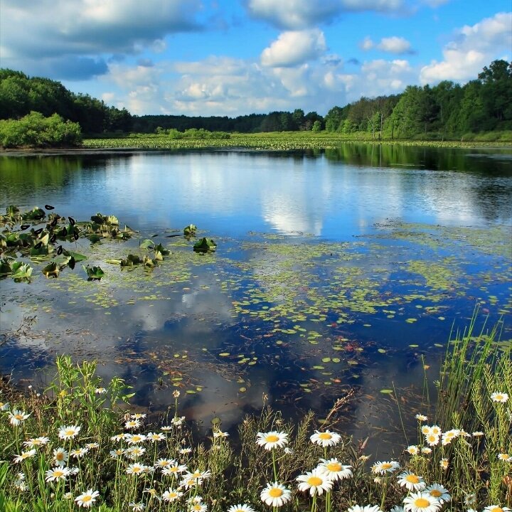 Я лежу на пляжу, солнце светит в левый глаз. Вот такая вот жара.😉
⠀
Здравствуйте, дорогие читатели! Продолжаем разговор.
⠀
Лето...
Первые июньские дни, когда ночь комфортная, а днем жарко. Солнце уже уверенно греет.
⠀
Если весной природа пробуждалась и была борьба с зимой, то летом всё идет сильно и уверенно вперед. Утром так громко поют соловьи, КРАСОТА! Слушать хочется бесконечно.
⠀
День длинный, солнце встает рано и вот начинаются первые походы на пляж. Сначала вода не прогретая и дети больше на берегу. А вот уже в июле печет солнце, жара! И это всё!!!! Из воды не вытащишь.... А попробуйте сказать, что надо идти домой..... Ну вы знаете.😆
⠀
У детей каникулы. Детвора на улице придумывает новые игры. Кричат, бегают и на первый взгляд кажется, что это просто хаотичные крики и беготня, а присмотревшись понимаешь, что нет. И пока солнце не станет клониться к закату, разговоры про дом можно не вести совсем.
⠀
И не так часто, как хотелось бы, начинается рыбалка. Время когда наш сын успевает всё: ловить с папой рыбу, гулять с дедом, мешать маме приготовит ужин и играть! На природе, главное не дома! Приключения, ура!
⠀
В августе день ВДВ требующий отдельного рассказа, как всей семьей посещаем это мероприятие.
⠀
А какие красивые летом дожди и грозы! Во время грозы дождь сильный, теплый и уверенный. Треск молнии и за ним сразу раскат грома..... СИЛА! А после дождя по лужам. Эх!
⠀
Везде продают арбузы, дыни, фрукты... Помните хоть один день без арбуза или дыни? Мы, нет! Как сына не порадовать!
⠀
И вот уже лето потихоньку начинает свой путь к концу..... На улицах много палаток с урожаем и наслаждаешься всем свежим с грядок... Вот последние дни лета, тепло еще будет, но осень уже на пороге....
⠀
Как вам лето? Нравится? Жду комментариев. Что же выбрать, весну или лето?
⠀
С уважением, Наталья Орехова!