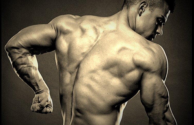 Рельефный трицепс