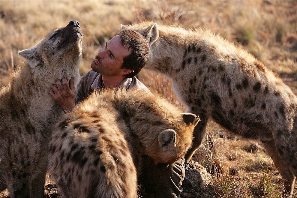 Изображение взято из свободных источников 