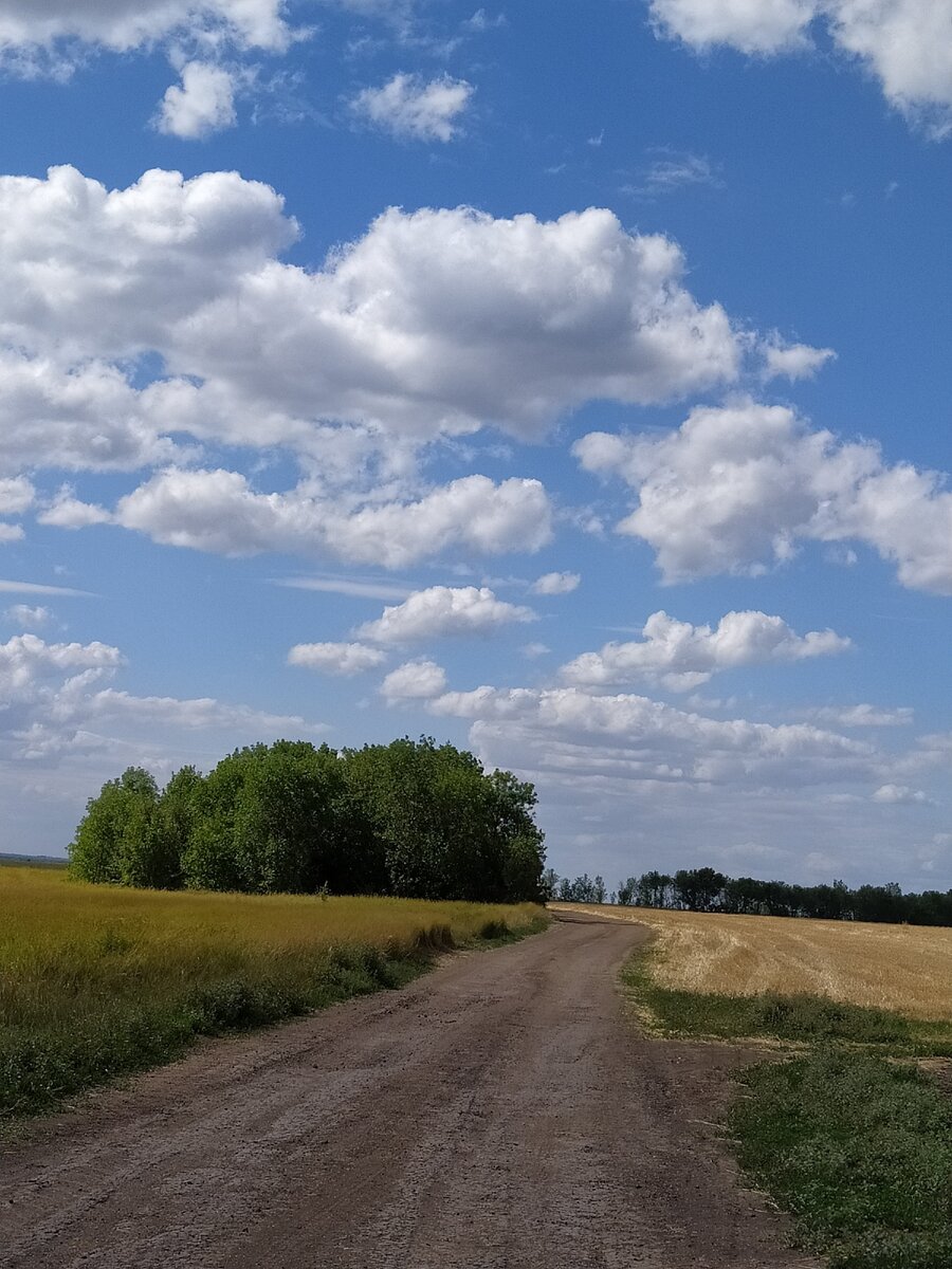 Картинки село мое родное