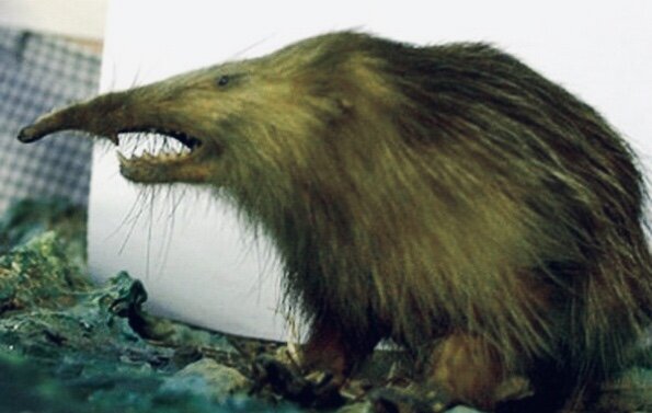 Личный фотоколлаж 