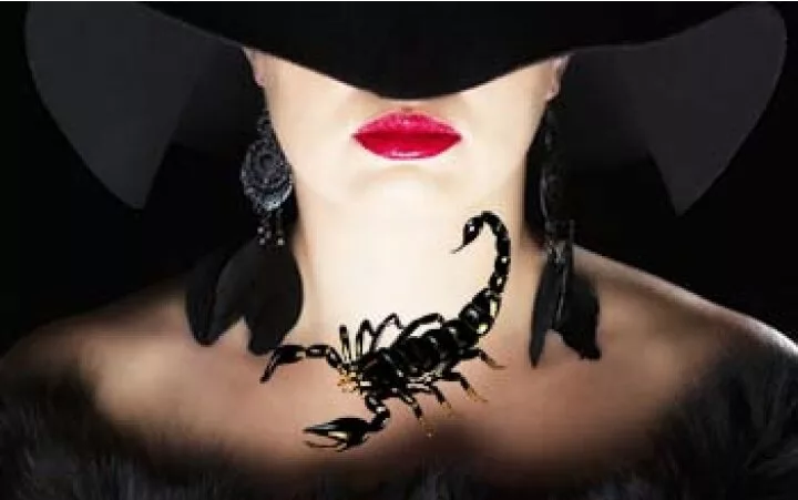 Фото из Яндекс картинки.