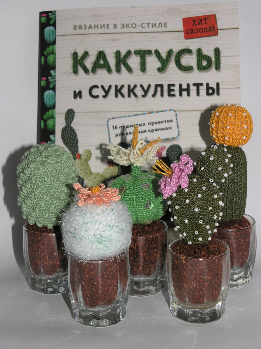 Компания из 5 кактусов в рюмках...