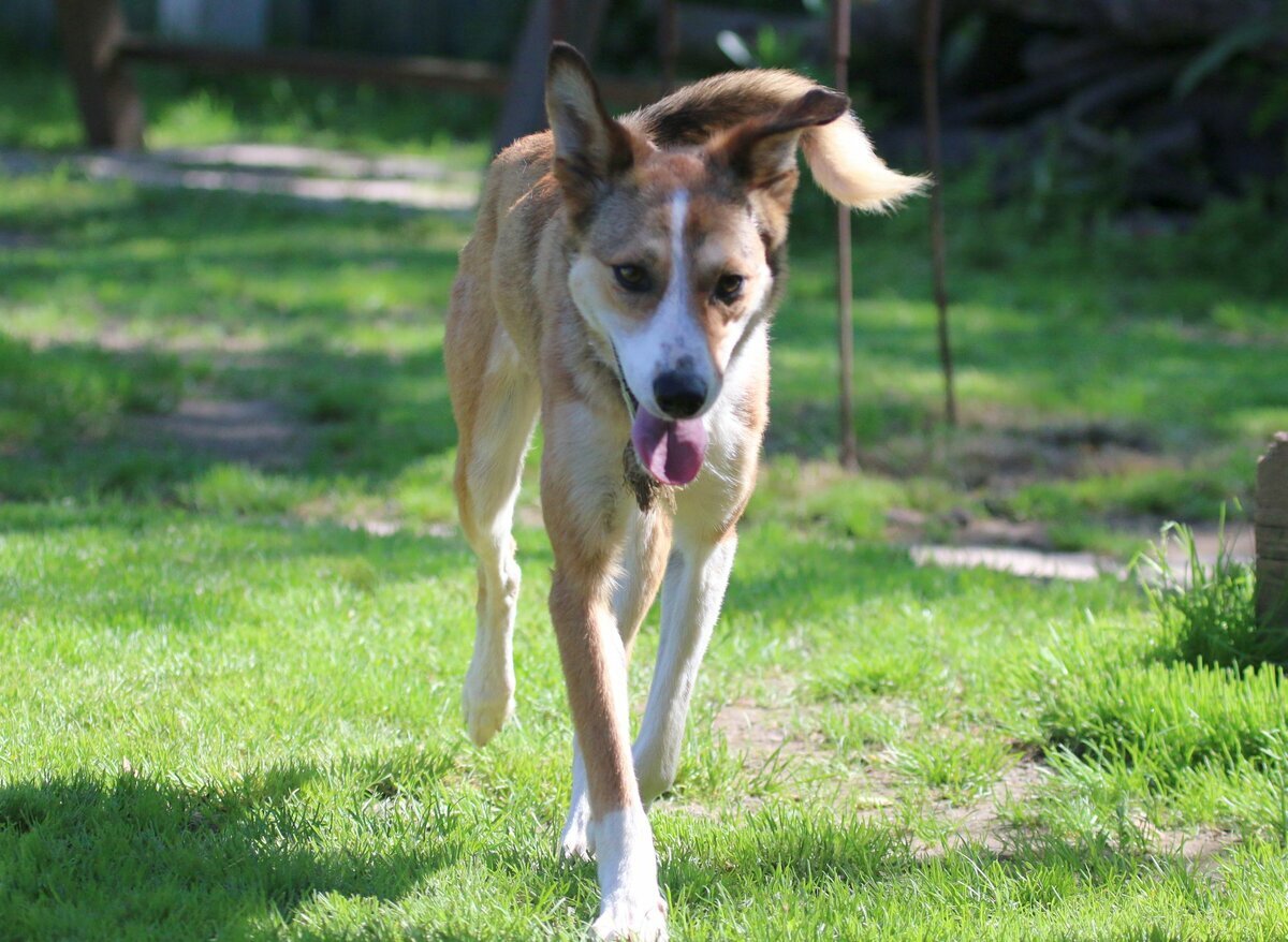 Какие еще подобрать слова, чтоб ее заметили