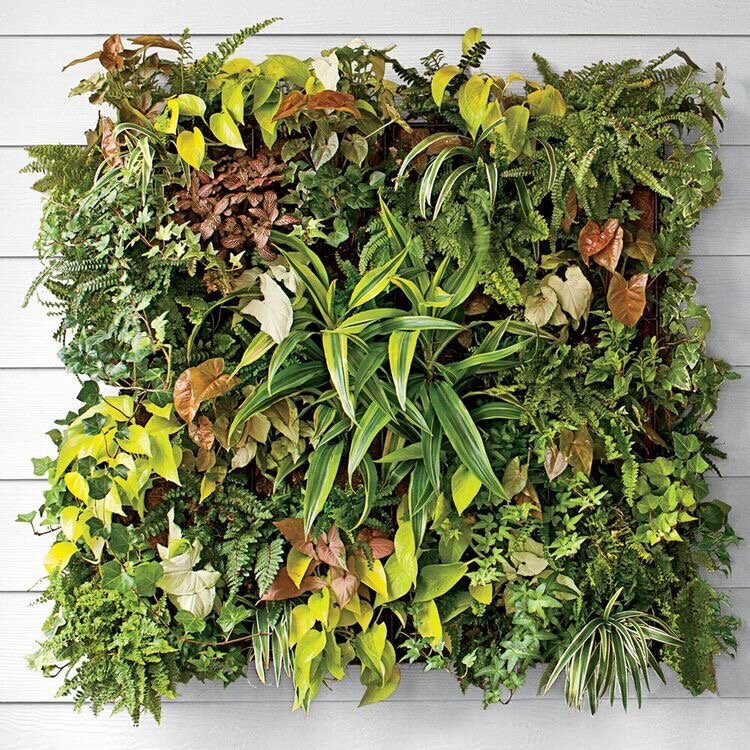 Уход за дачей — это не только уход за домом, но и за участком.
