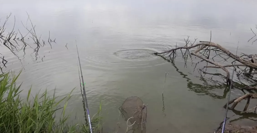 Утро на рыбалке. Из источников в свободном доступе.