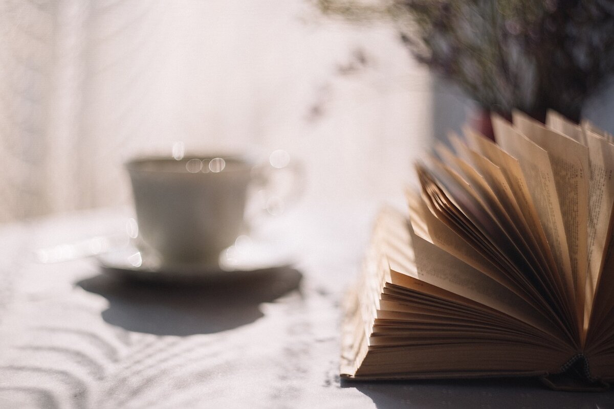 Книжные жанры и наше восприятие истории