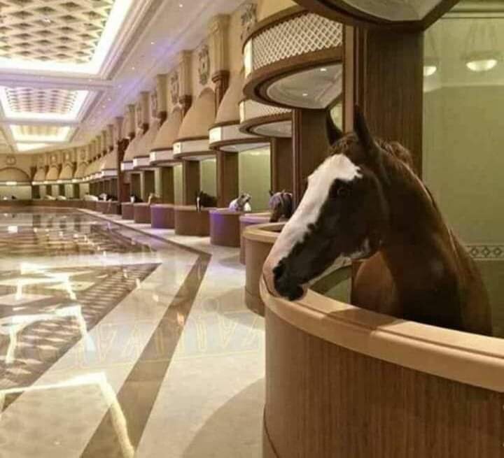 Картинка свободный доступ интернета.