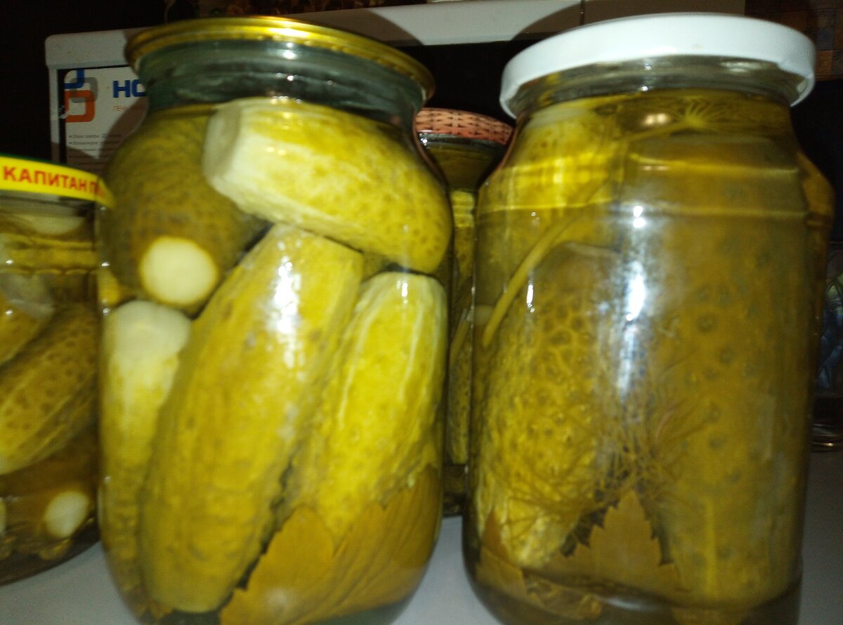 Мои огурцы. 