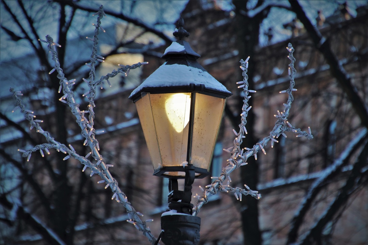 Фото pasja1000 с сайта Pixabay 