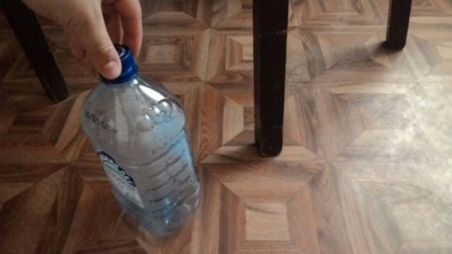 Монтана