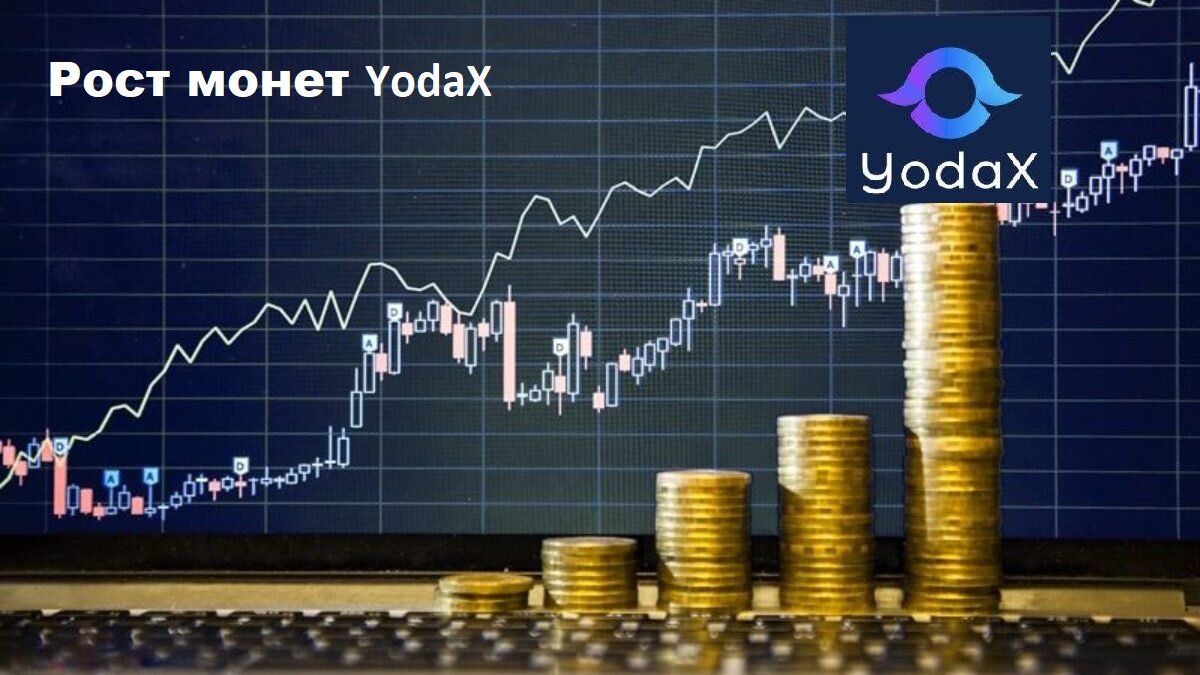 Контакты обменника Телеграмм: https://t.me/YAVOT_OBMEN