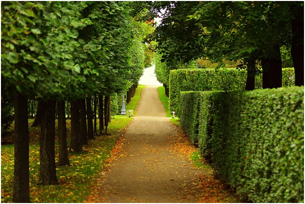 Фото из pixabay.com/ru