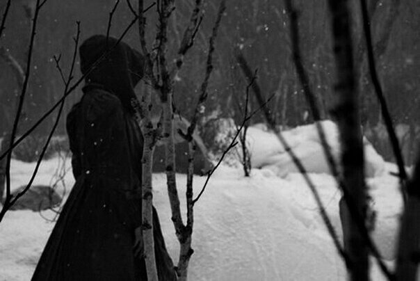 Фото из открытого источника в интернете.