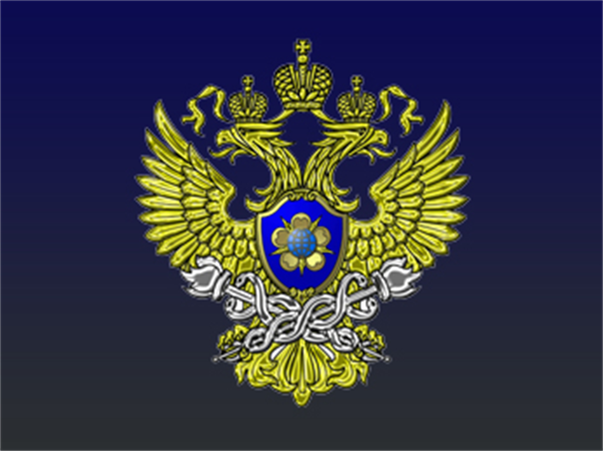 Финмониторинг. Федеральная служба по финансовому мониторингу. Эмблема Росфинмониторинга России. Росфинмониторинг герб. Федеральная служба по финансовому мониторингу эмблема и флаг