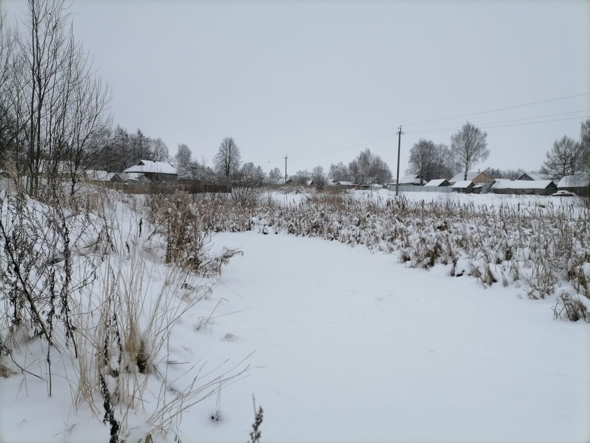 Деревенский зимний пруд