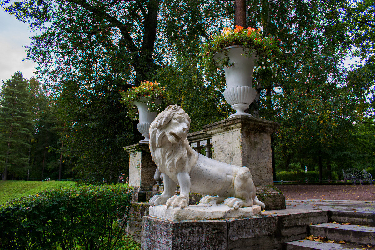 Парк павловск можно с собаками. Парк павловск можно с собаками. Парк который можно погулять собакой. Павловск (музей-заповедник). Павловск санкт-петербург парк.