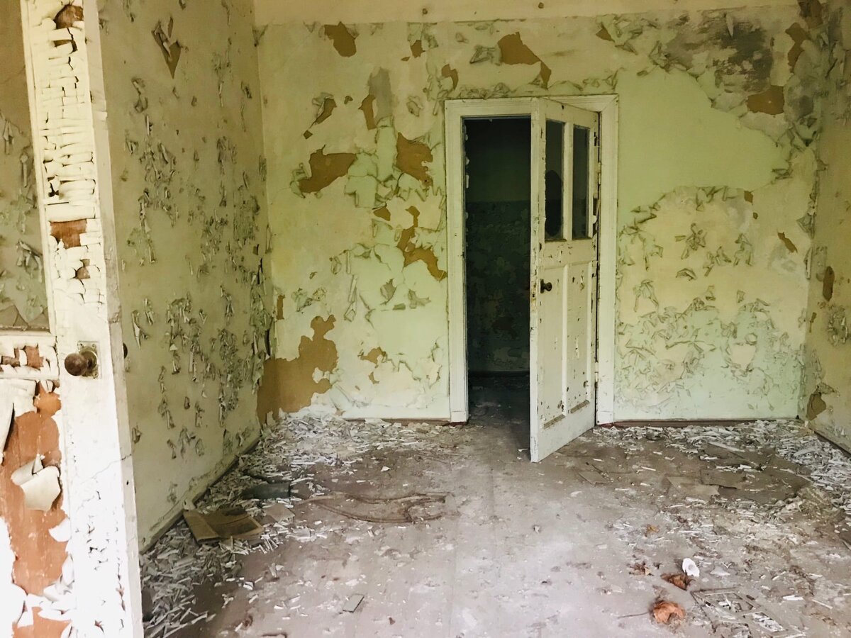 Новошепеличи