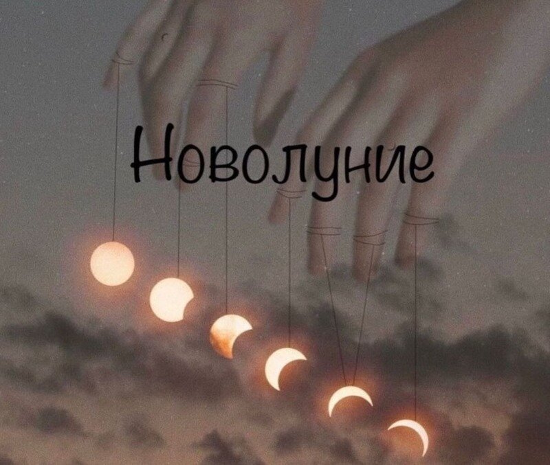 Источник фото https://www.instagram.com/p/CJ8vv-In91A/