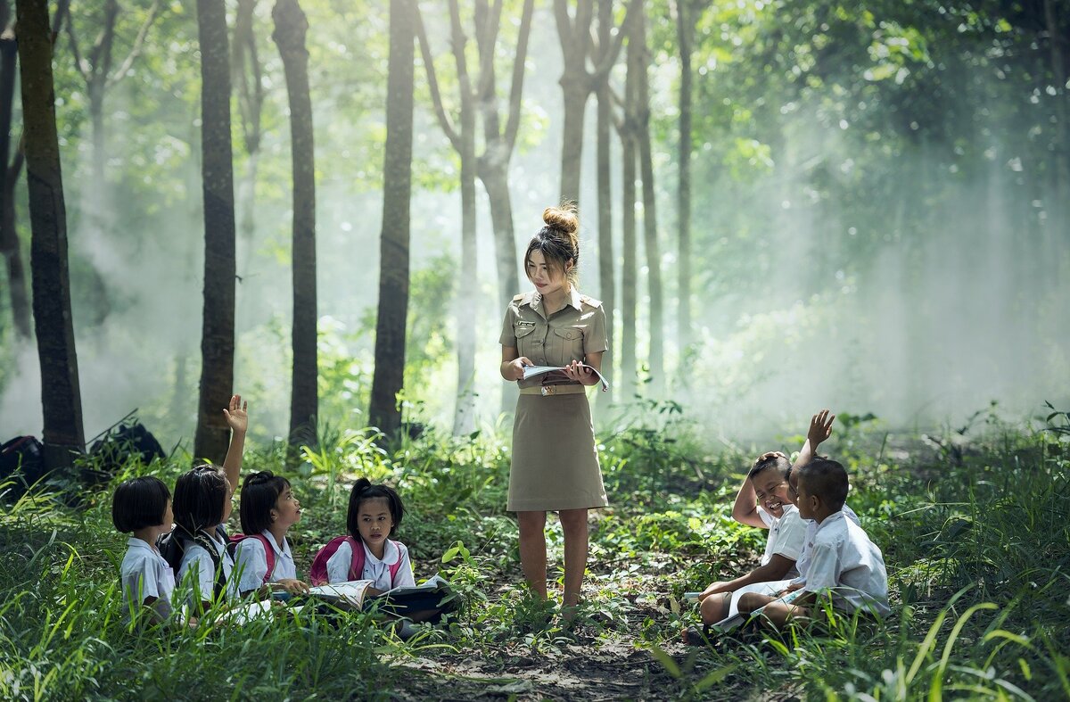 Изображение <a href="https://pixabay.com/ru/users/sasint-3639875/?utm_source=link-attribution&amp;utm_medium=referral&amp;utm_campaign=image&amp;utm_content=1782430">Sasin Tipchai</a> с сайта <a href="https://pixabay.com/ru/?utm_source=link-attribution&amp;utm_medium=referral&amp;utm_campaign=image&amp;utm_content=1782430">Pixabay</a>