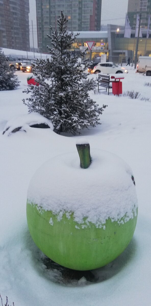 Зелёное пятно на фоне урбанизации. 
