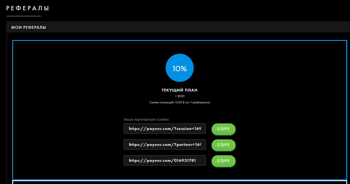 Всё о электронном кошельке Payeer.