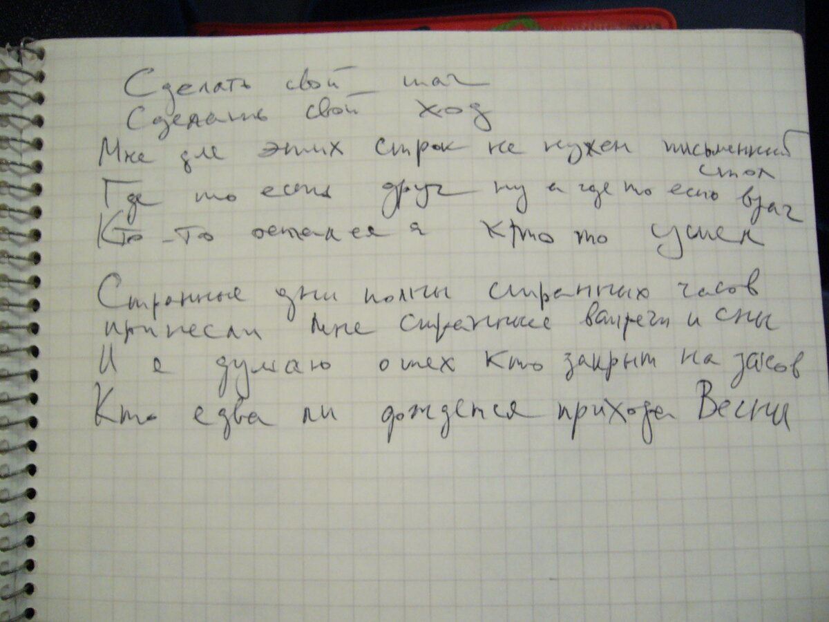 фото из архива Н. Разлоговой