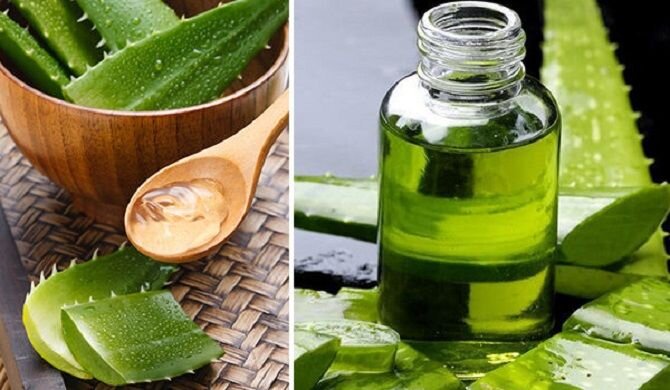 7 лучших масок для волос на основе ромашки - лучшие рецепты и советы