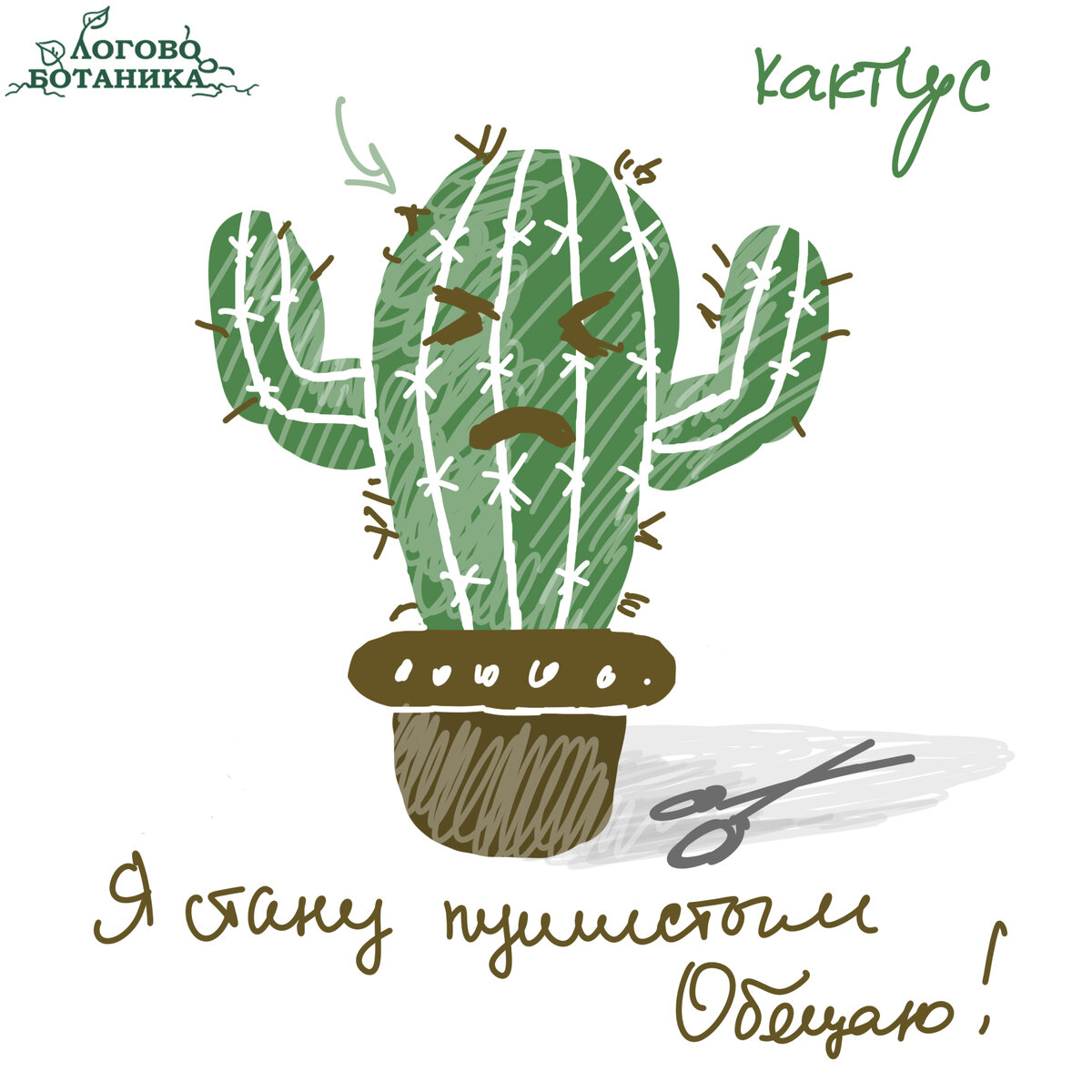 Я растение не прихотливое, всё что мне надо - изредка поливать. А вот внимания особо и не нужно, я собственно потому и колючий.