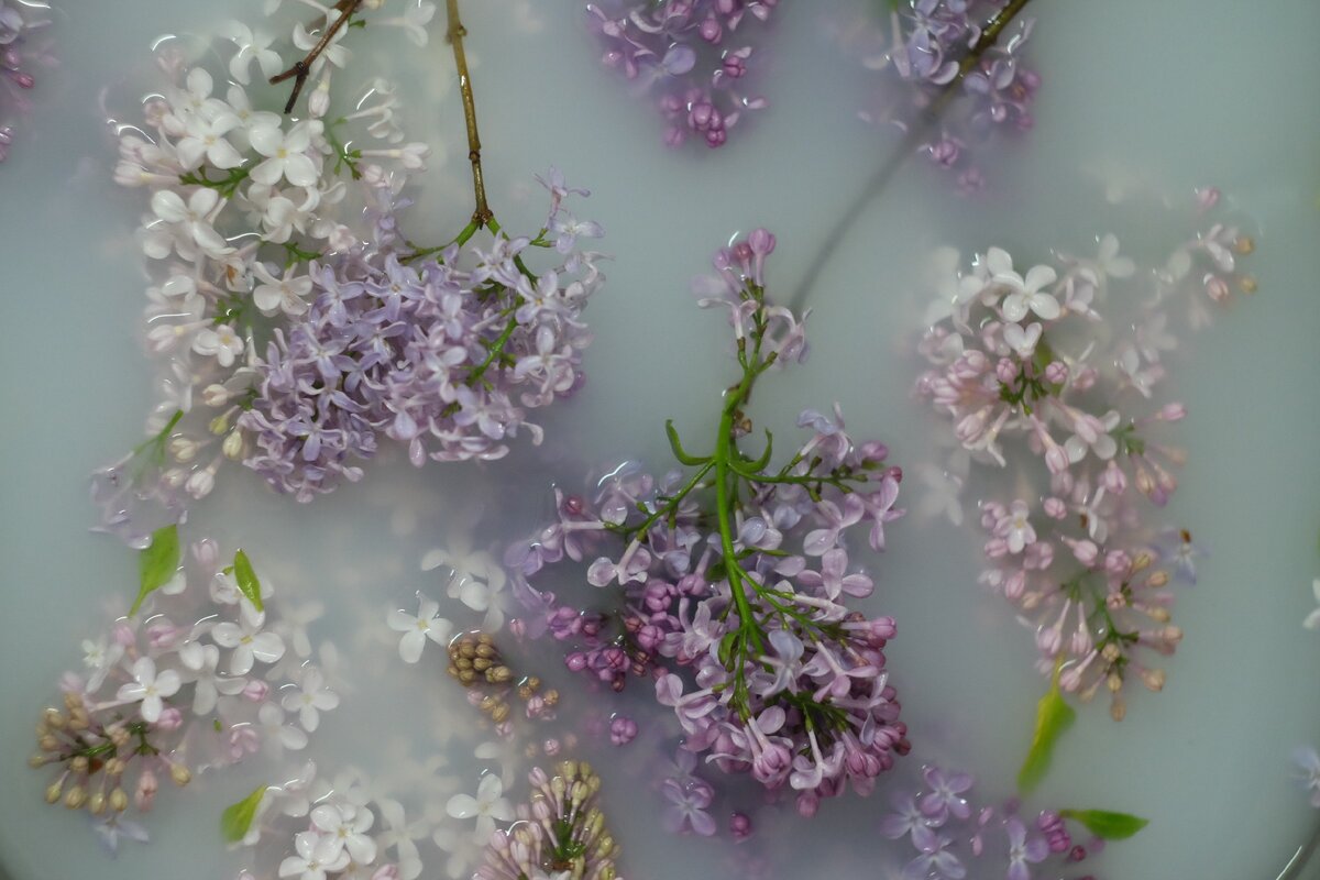 Университет. Первый курс. Органическая химия. 18-летние узники "Азкабана" сидят в белых халатах и пытаются смешивать содержимое склянок, чтобы получился какой-то один цвет, по которому можно определить тупой ты или все же соображаешь.
Блондинка с большим поТЕНЦИвалом ( это, естественно, ваша покорная слуга) сидит перед пробирками и смотрит в билет. Нужно определить название прозрачной жидкости. В бумажке, как в классическом хорроре, написано  2 слова, из которых только одно верное. 

Формальдегид или ацетон?

"Ну, ацетон-это жидкость для снятия лака"- размышляет сообразительная птица говорун. А второе слово у меня, почему-то, ассоциировалось с эльфами.
Есть вещество-индикатор с игривым названием нитропруссид натрия.  И этот священный грааль должен был помочь мне определить природу жидкости, получить зачет, повысить чувство собственного достоинства и вознаградить меня пирожком. 
Если в пробирке формальдегид, то прозрачная "водица" становиться розовым эликсиром и я следующими реакциями доказываю, что интеллект, магия и блондитизм в одном человеке совместимы. 
Если розового окрашивания нет, то это ацетон, и я делаю ноготочки.
Смешиваю водицу и священный грааль- получаю розовую жидкость. Ликую, сфинктер разжался, мне спокойно. Теперь я знаю правильный ответ. Я умная. 
Легкой рукой подогреваю колбу, чтобы увидеть как пар превращается в маленького эльфа, уносящего меня в сказочный мир. 
Но вдруг розоватое счастье начинает гореть. Вы когда-нибудь видели как вода превращается в уголь? Вот тогда я и узрела это. Попытки потушить пламя были безуспешны. Если учитывать, что горела не только пробирка, но и мое сердце.

Возгорание потушили, я получила свой незачет, и пирожок был не для победителей, а для неудачников. Но самое обидное, что я до сих пор не могу понять, как меня мог предать самый красивый цвет на свете?

Все лгут, друзья. Даже розовый цвет.