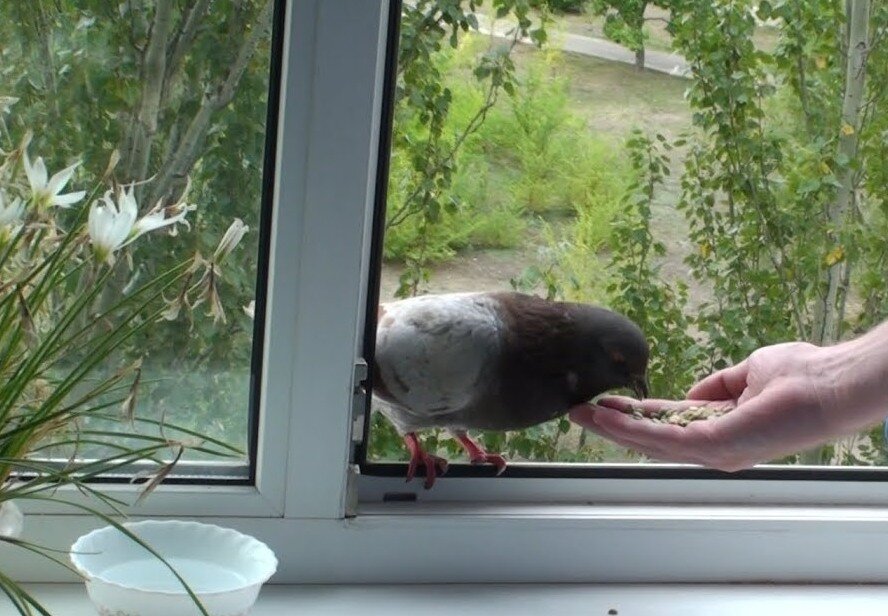 фото из интернета