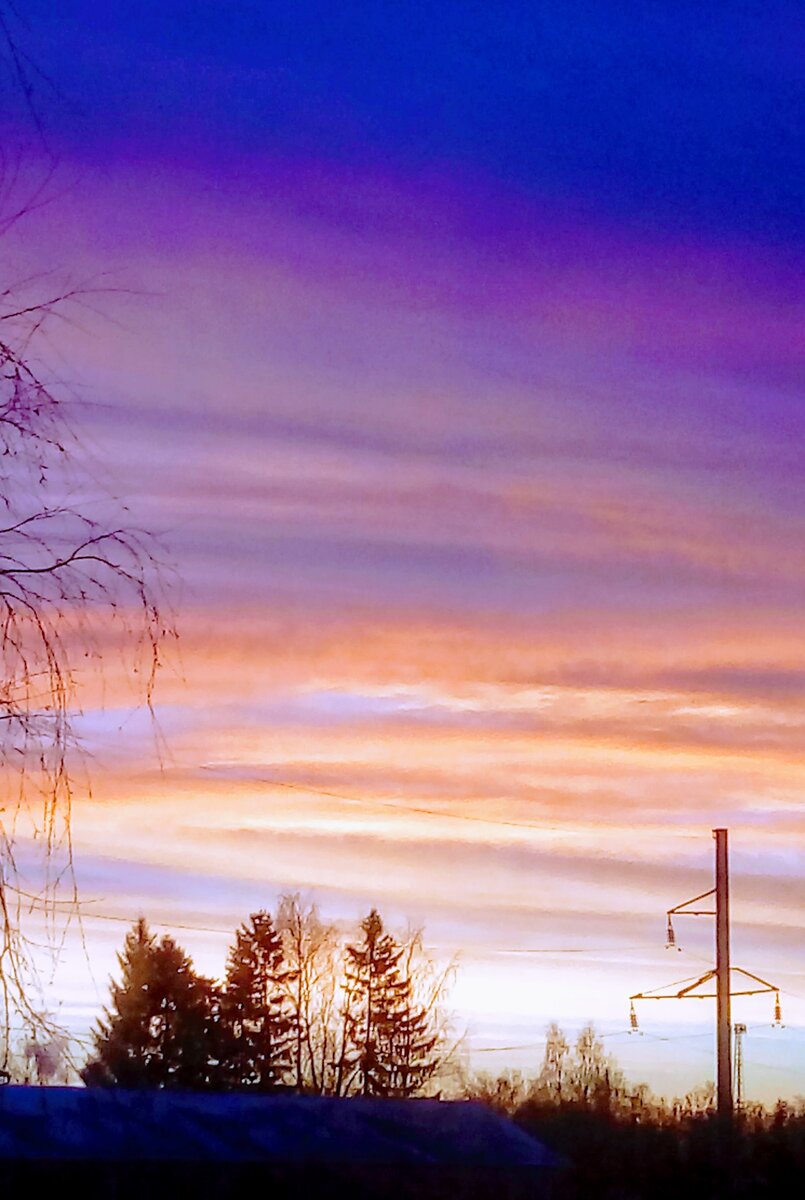 фотография автора