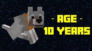 Вулфи (обложка с Ютуба) 