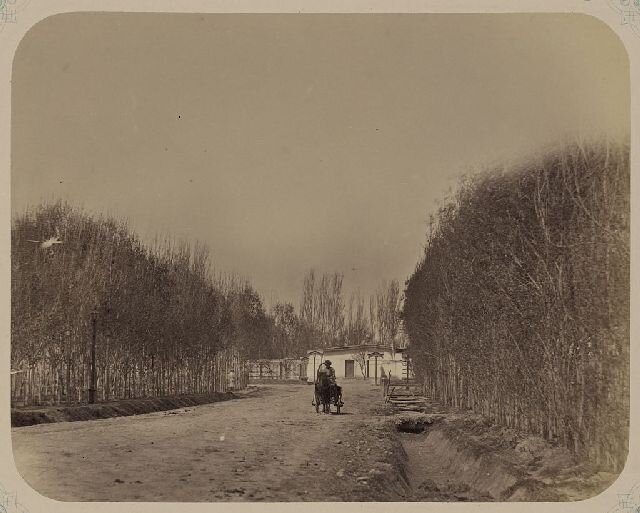 Московская улица