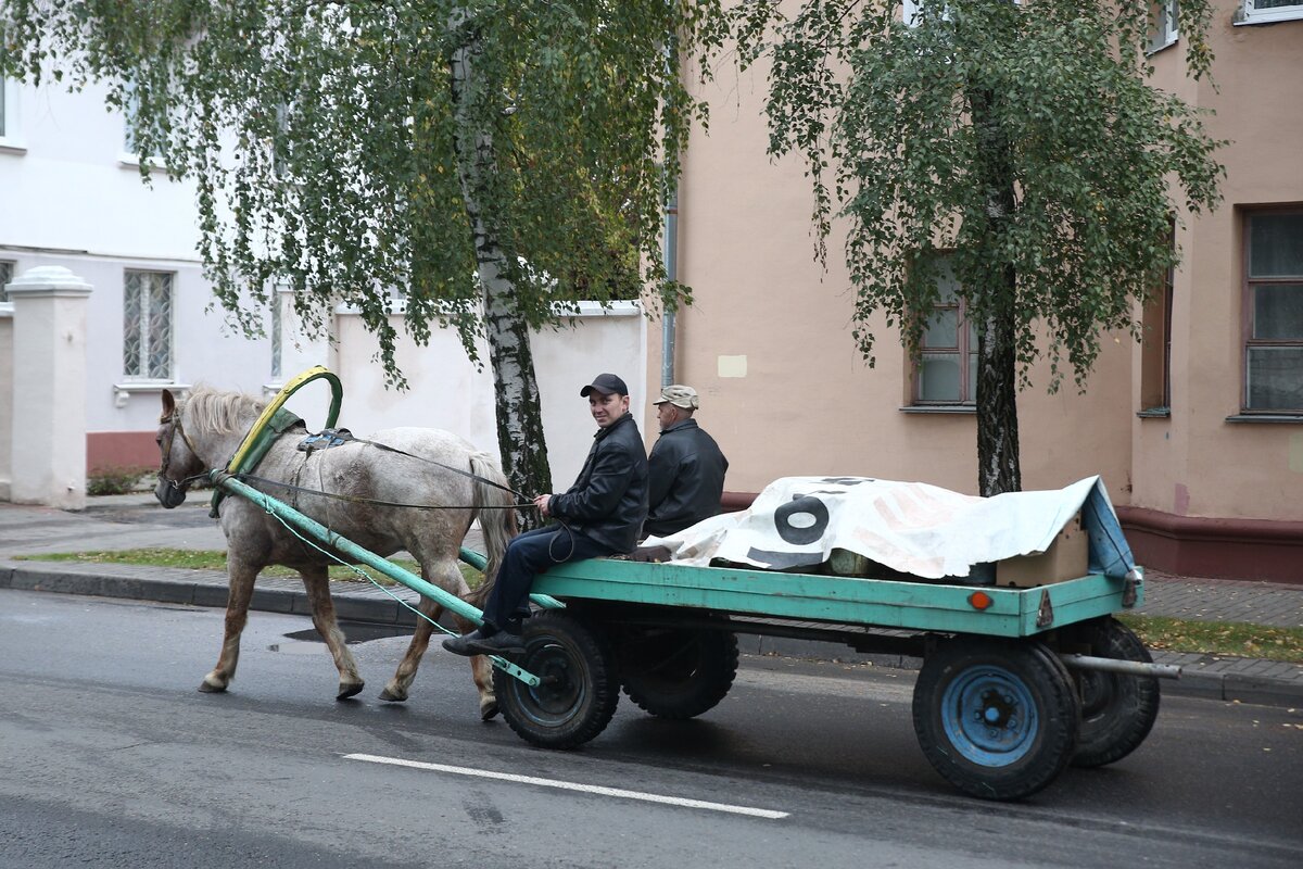 Город, где 