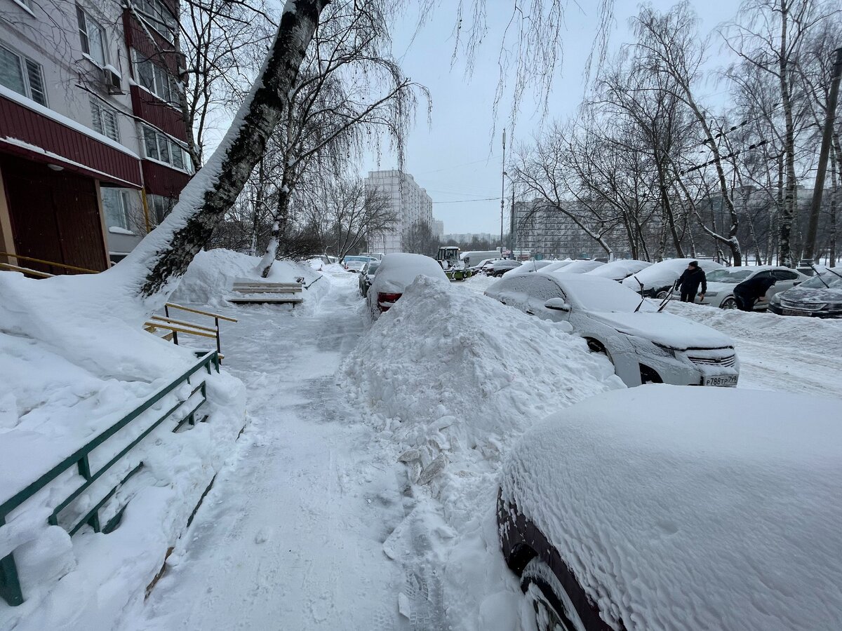 Сколько выпало снега в москве