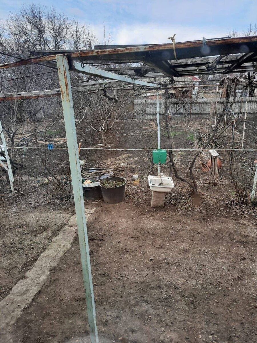 Фото: t.me/kub_news_ru