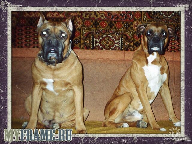 Бетти и Алмаз 2002г