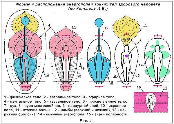 Ментальный план что это