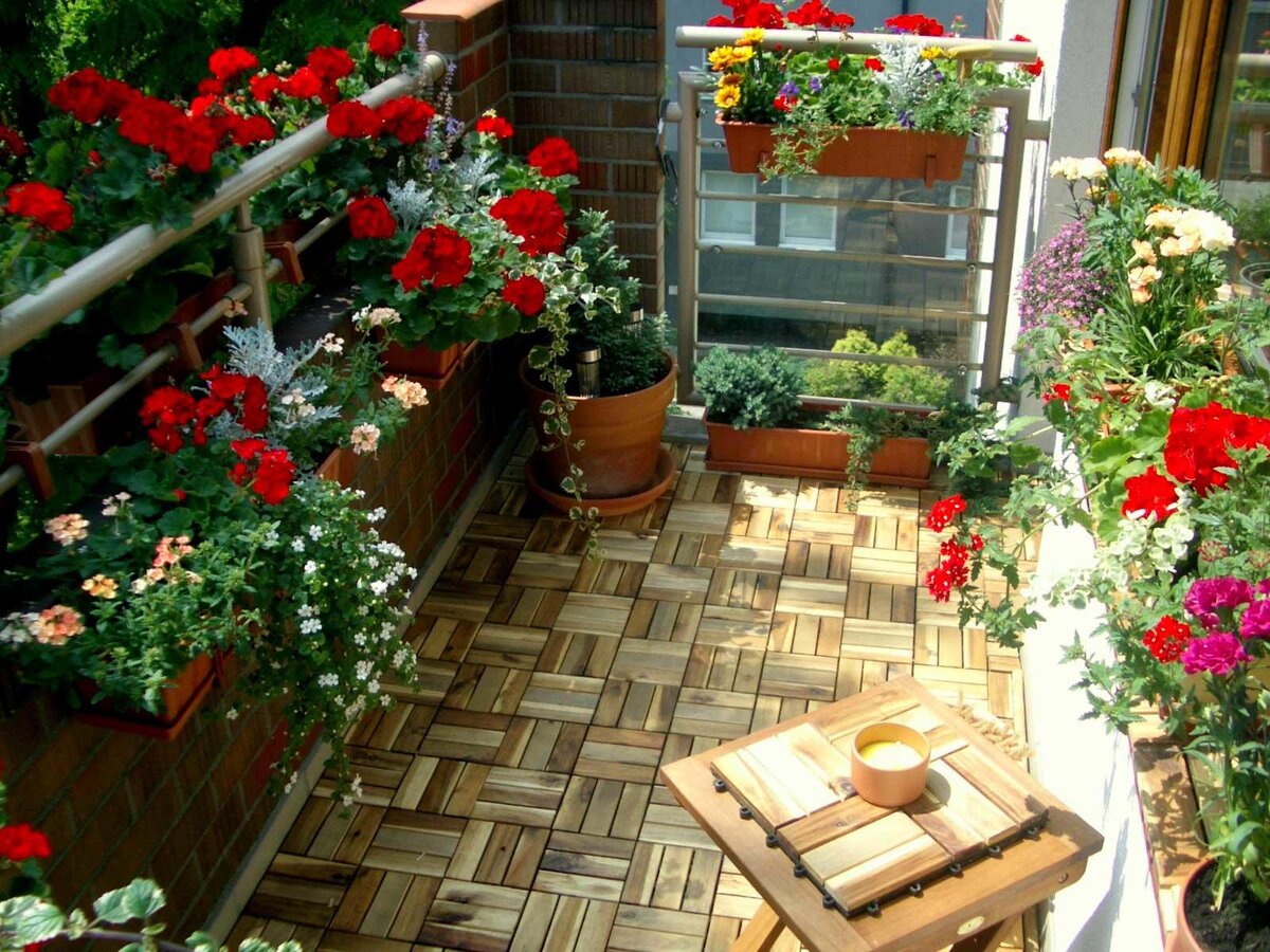 Balcony gardening. Озеленение балкона. Озеленение балконов и лоджий. Цветы на балконе. Цветы на веранде.